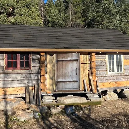 Reinheimen אכסניה *