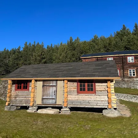 Reinheimen אכסניה Skjåk