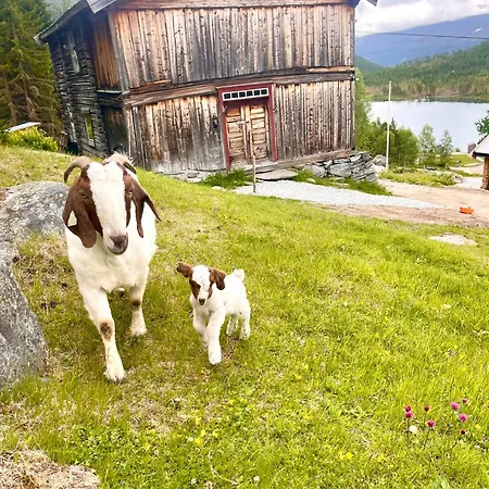Reinheimen * Skjåk