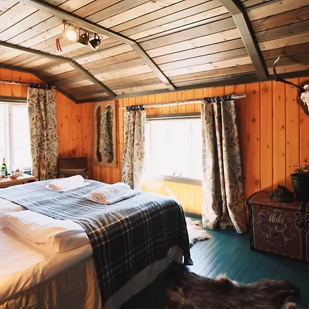 Reinheimen 山林小屋 Skjåk