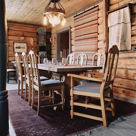 山林小屋 Reinheimen Skjåk