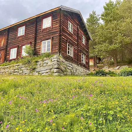 Reinheimen 山林小屋 *