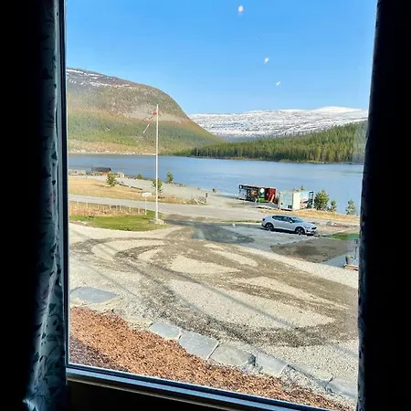 山林小屋 Reinheimen Skjåk