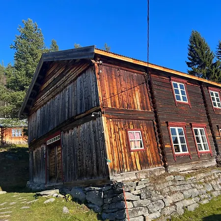 Reinheimen 山林小屋 Skjåk