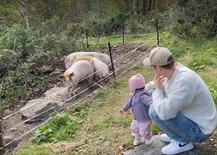 Jaktstuga Reinheimen