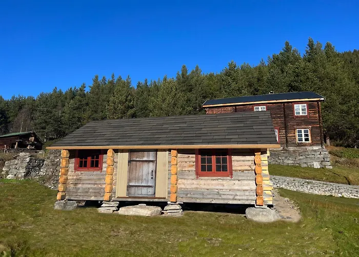 Reinheimen Jaktstuga Skjåk